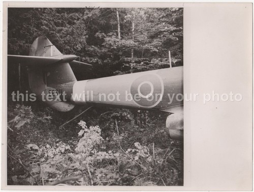 Gloster meteor ee311 - gloster,