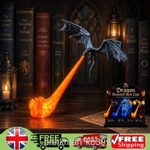 Dragon bookshelf nook - dragon,