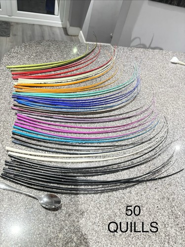 Quills all sorted headwear - quills,