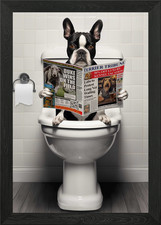 Boston Terrier on Toilet