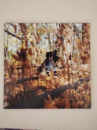 Billy woods golliwog - billy, lp