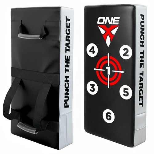 Boxing karate kick - pads, mma