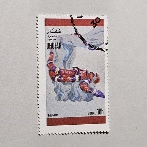 Milk snake stamp27 - milk,
