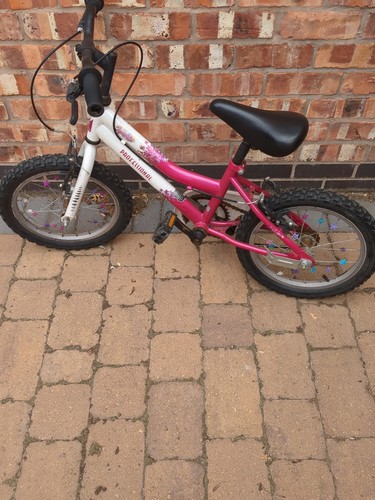 Girls mountain bike - girls,