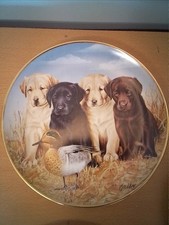  Labrador Plate By Jim Killen