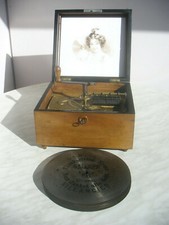 Calliope polyphonic symphonion