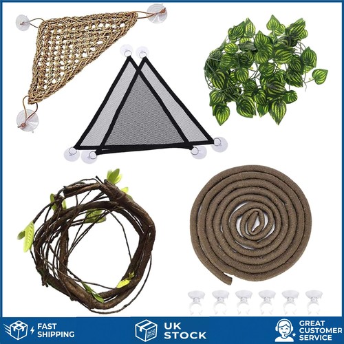 Bearded dragon hammock set - bearded,