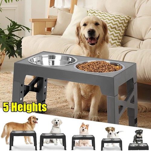 Raised slow feeder dog - feeder, bowls