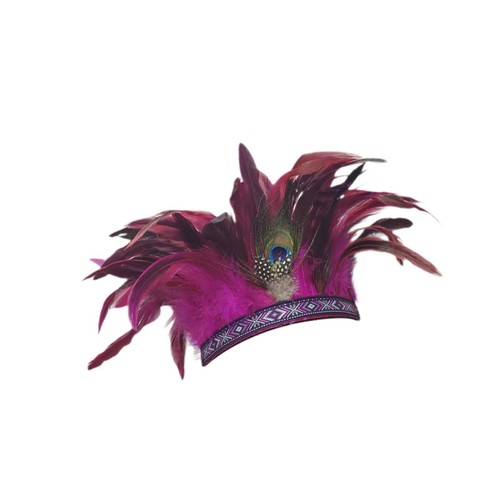 Feather headdress indian hat - feather,