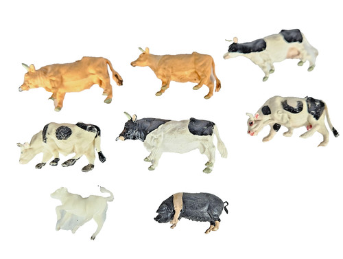 Job lot friesian hereford - job,