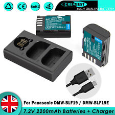 2x DMW-BLF19 Battery +Charger