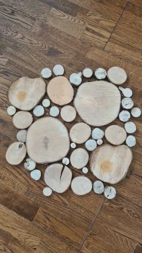 Wood slices discs - wood, 1-16cm