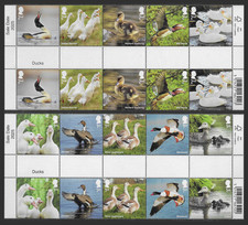 GB 2025 BIRDS DUCKS GUTTER PAIRS SET MNH