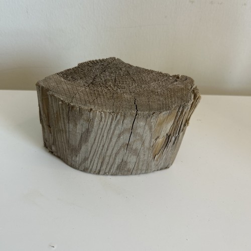 Quarter tree trunk - 1,