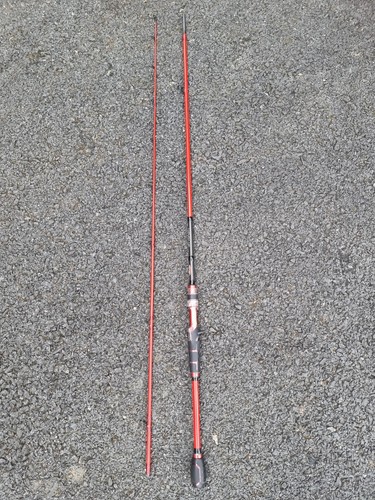 Berkley lighting rod - berkley,