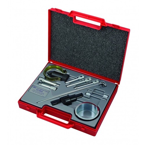 Twin cam petrol engine - cam,