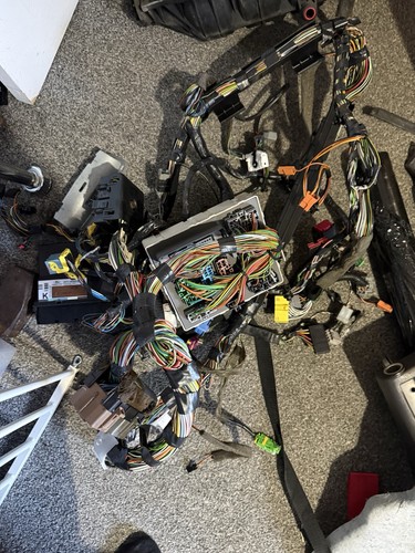 Ford focus st170 engine loom - focus,