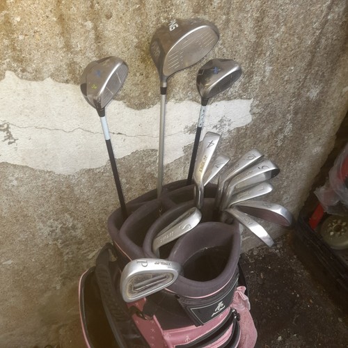 Ladies golf club - ladies,