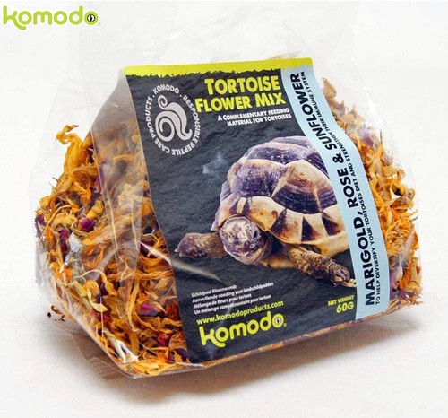 Komodo tortoise food - tortoise,