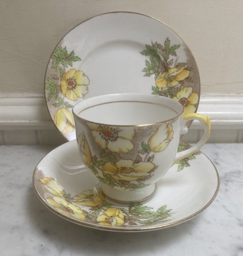 Vintage salisbury fine - salisbury,