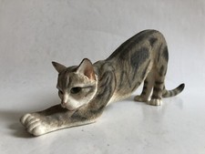 Country Artists 01716 Tabby