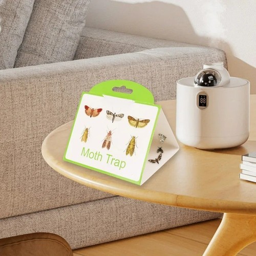 Sticky moth traps hanging - sticky,