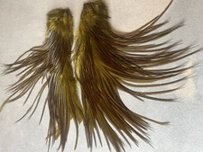 Genetic Olive Saddle Cape