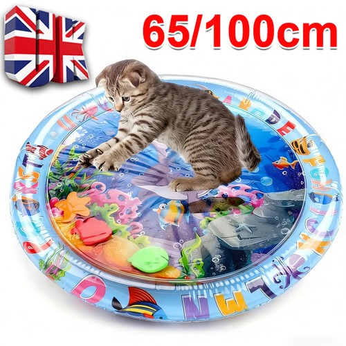 Cat dog water play - cat,