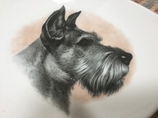 Vintage Pall Mall Ware Dog Terrier Bone China Pin Tray Plate