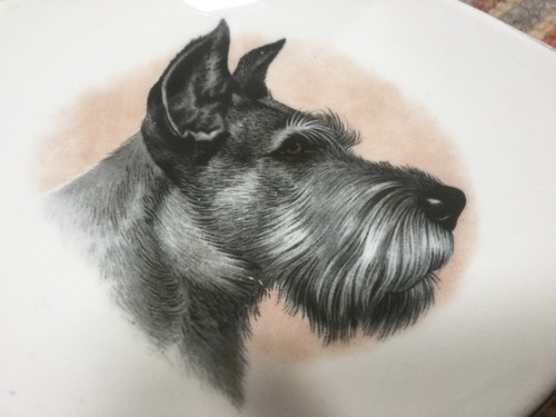 Vintage pall mall - pall, dog