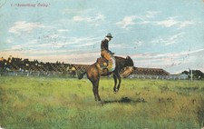 BRONCO BUSTER - MAN RIDING HORSE - BLEACHERS - postcard