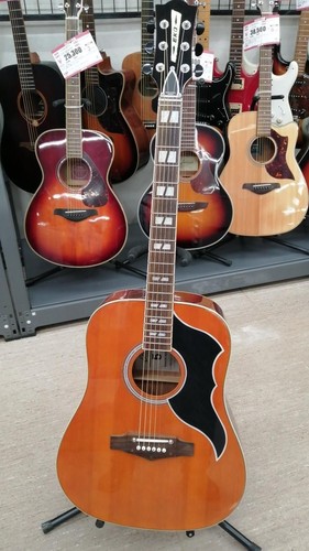 Eko eleako guitar ranger vr - eko,