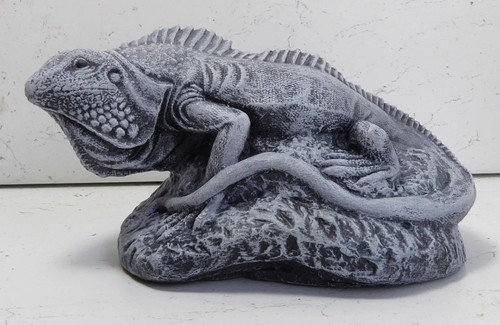 Latex mould make iguana - latex,