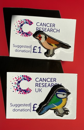 Cancer relief birds - uk,
