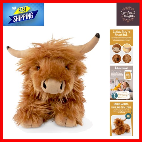 Realistic highland cow lying - realistic,