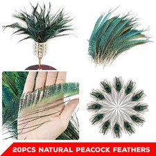 20pcs Mixed Peacock Feathers