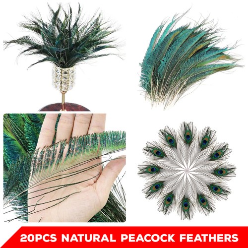 20pcs mixed peacock feathers - 20pcs,