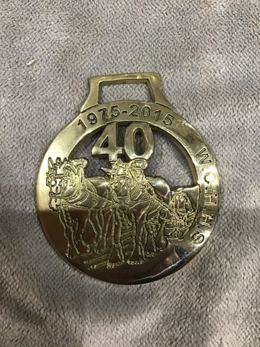 Horse brass unusual - horse, brass,
