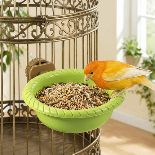 Multi function caged bird bath - caged,