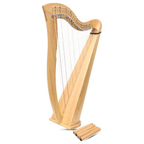 String mchugh harp - 27,