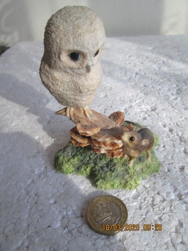 Border fine arts white - white, owl