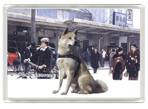 Akita dog fridge magnet great - fridge,