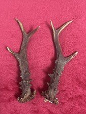 PAIR OF ROE DEER ANTLERS 