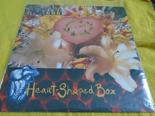Nirvana heart shaped box - nirvana,