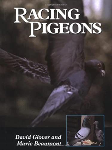 Racing pigeons glover - pigeons,, glover,