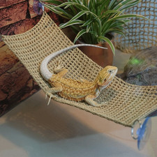 1PC Lizard Hammock Suction Cup
