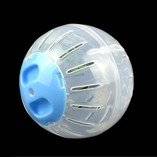 Small pet hamster exercise - small,