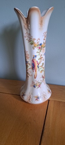 Crown ducal blush birds of - ducal,