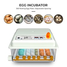 Incubators for Hatching Eggs