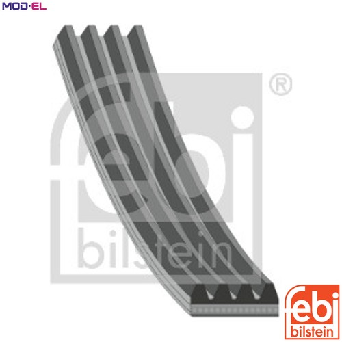Vribbed belt 28765 - vribbed,